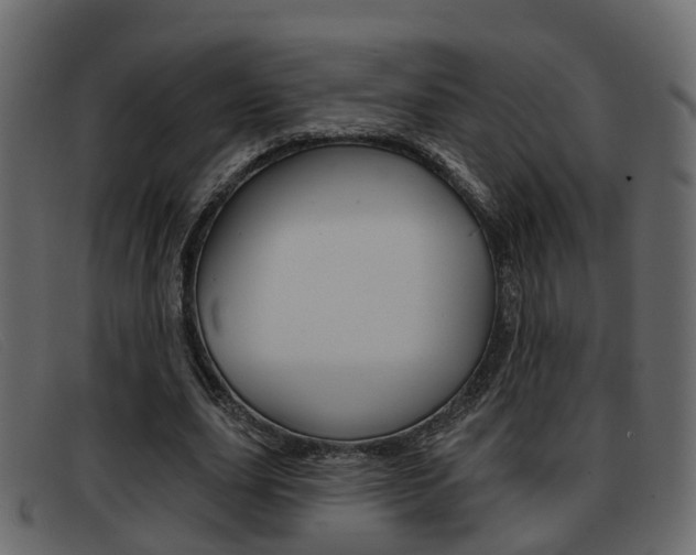 X0000093360631200710111309