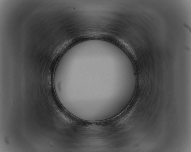 X0000093360633200710111309