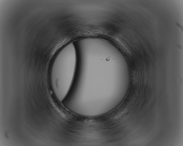 X0000093360634200710111309