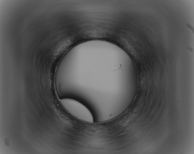 X0000093360635200710111309