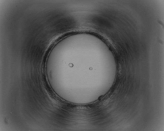 X0000093360636200710111309