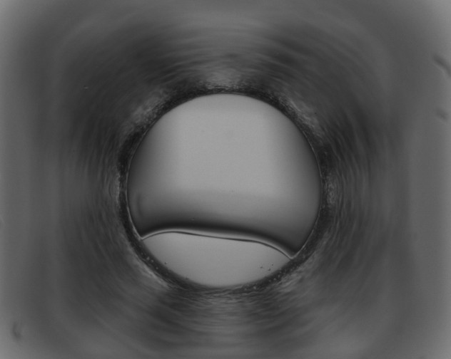 X0000093360637200710111309