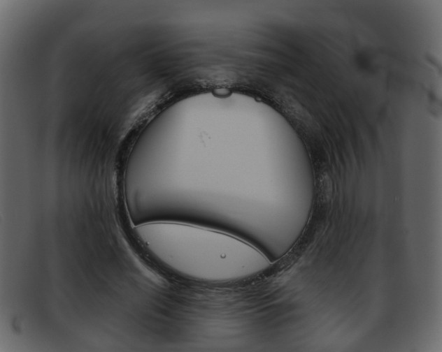 X0000093360638200710111309