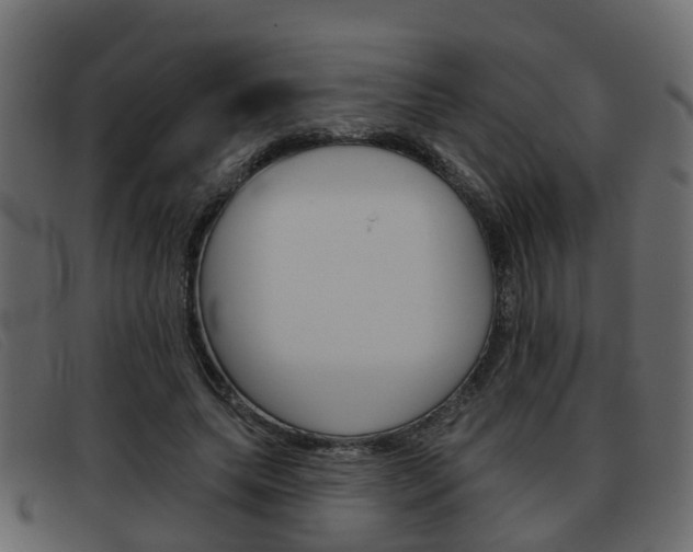 X0000093360639200710111309