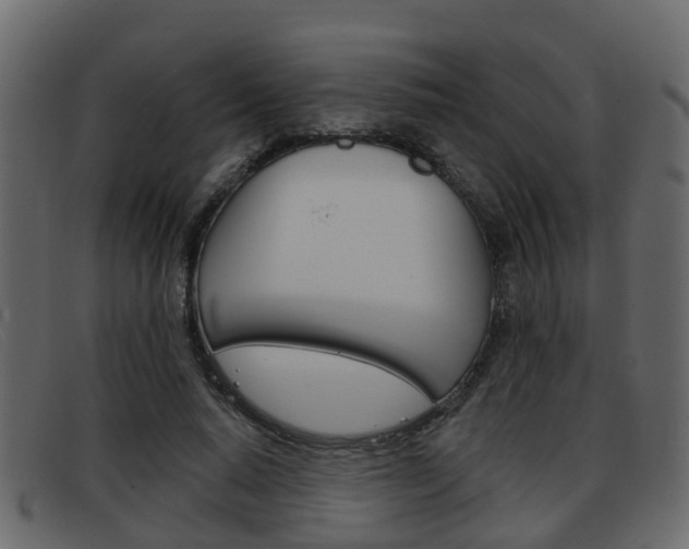 X0000093360640200710111309