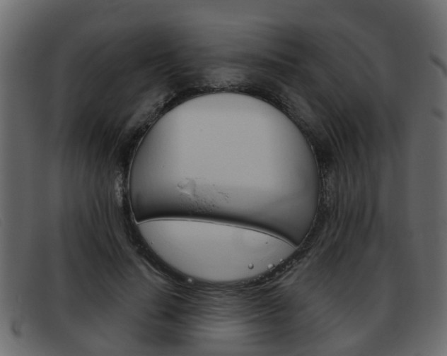 X0000093360644200710111309