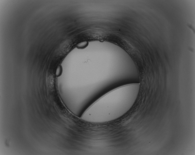 X0000093360646200710111309