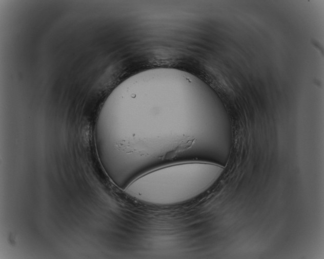X0000093360647200710111309