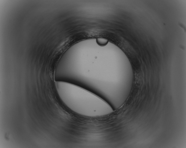 X0000093360648200710111309