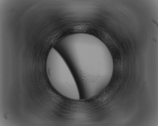 X0000093360649200710111309