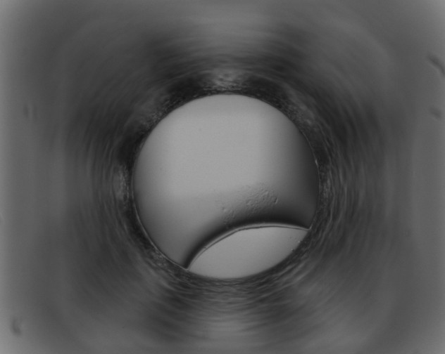 X0000093360651200710111309
