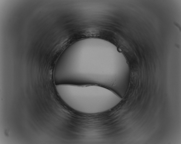 X0000093360652200710111309