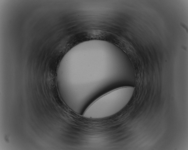 X0000093360653200710111309
