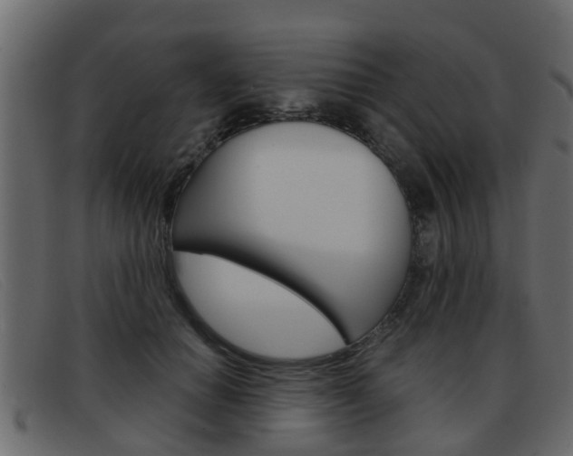 X0000093360654200710111309