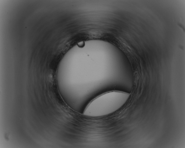 X0000093360655200710111309