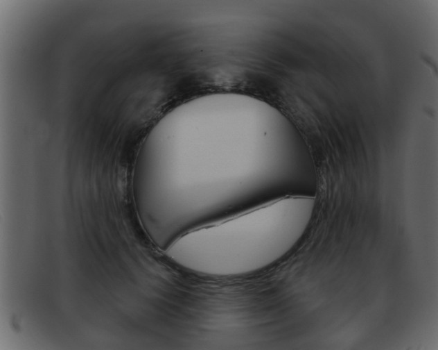X0000093360656200710111309