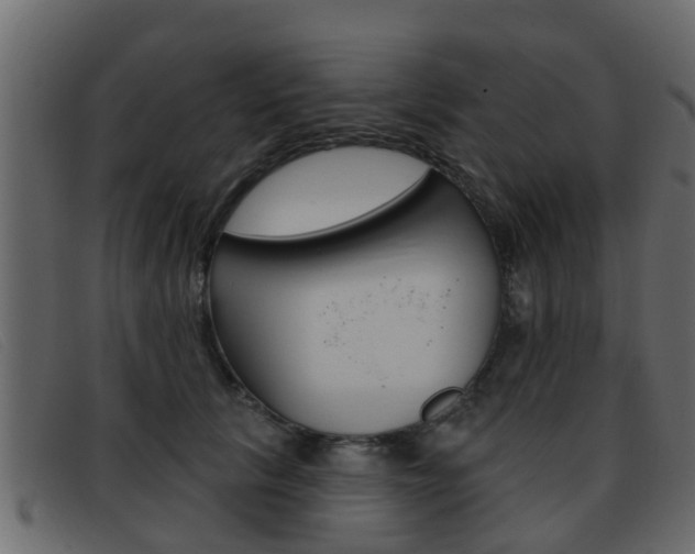 X0000093360657200710111309