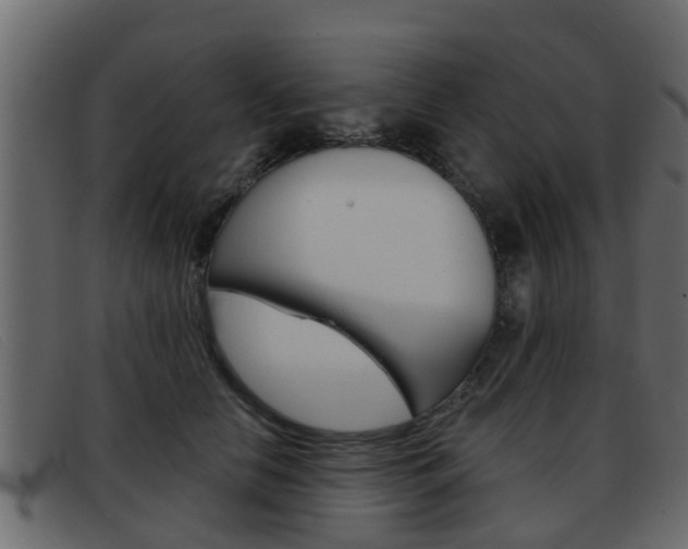 X0000093360658200710111309