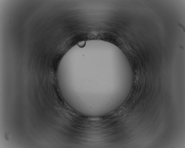 X0000093360659200710111309