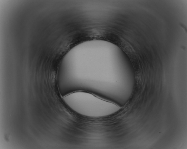 X0000093360660200710111309