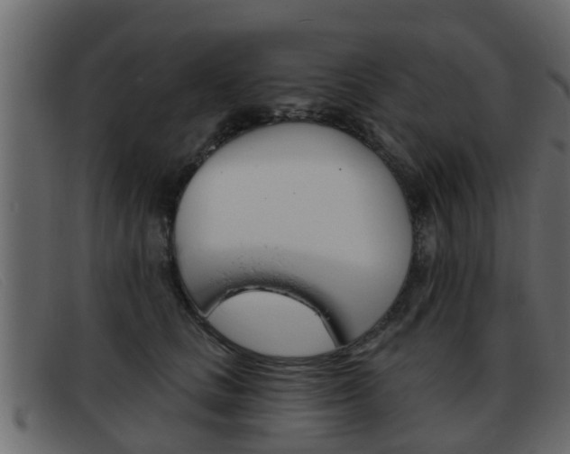 X0000093360661200710111309