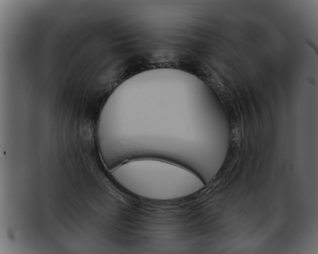 X0000093360662200710111309