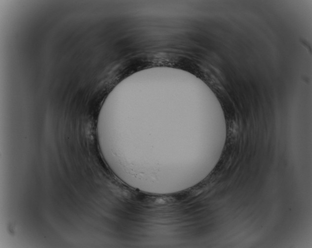 X0000093360663200710111309