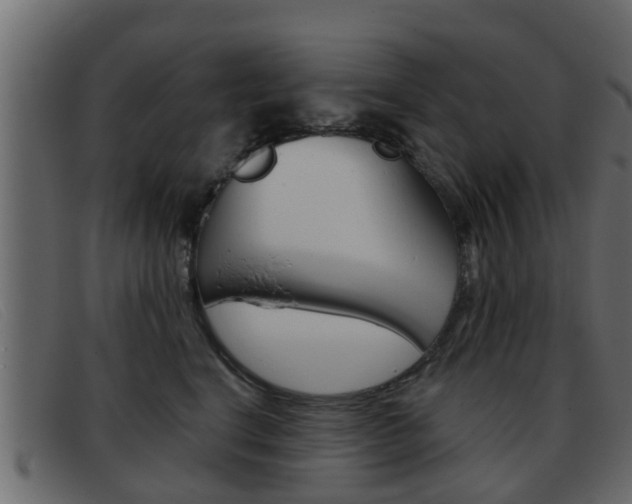 X0000093360664200710111309