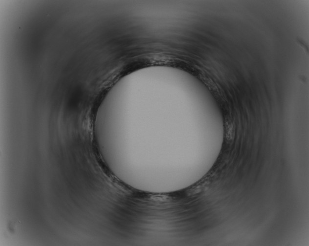 X0000093360666200710111309