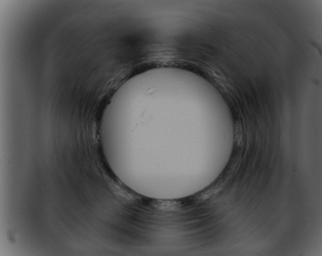 X0000093360670200710111309