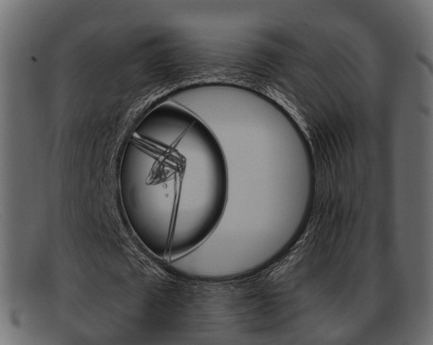 X0000093360673200710111309