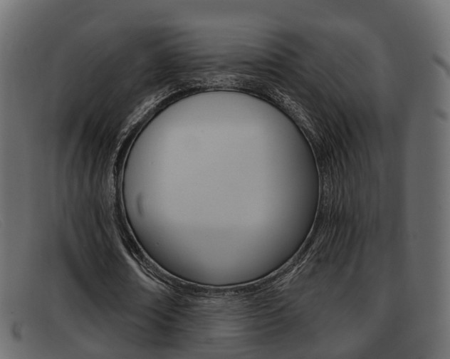X0000093360674200710111309