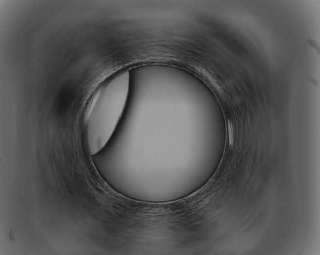 X0000093360675200710111309