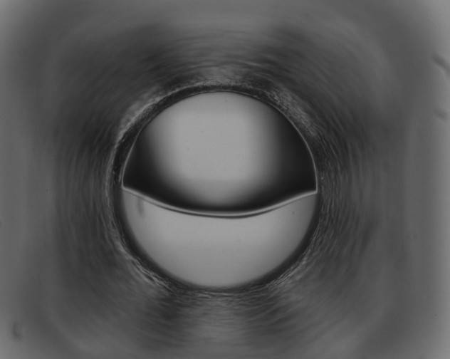 X0000093360676200710111309
