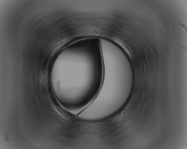 X0000093360677200710111309