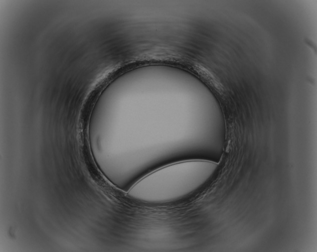 X0000093360680200710111309