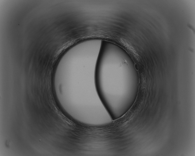 X0000093360681200710111309