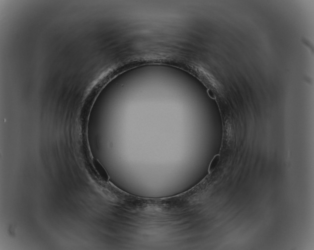 X0000093360684200710111309