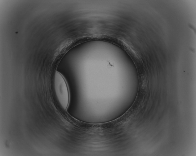 X0000093360685200710111309