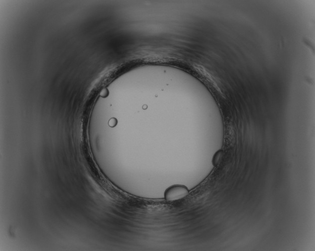 X0000093360686200710111309