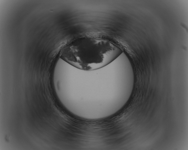 X0000093360687200710111309