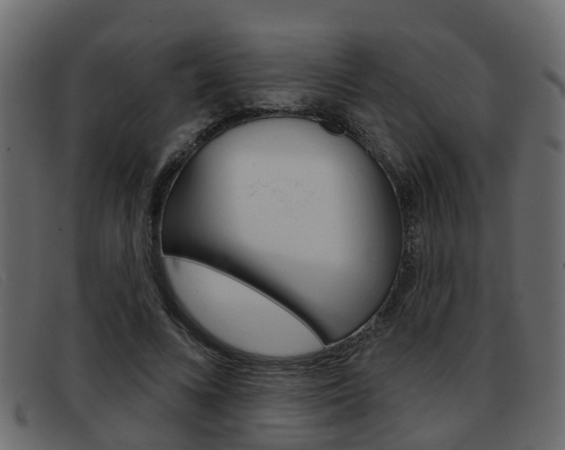 X0000093360688200710111309