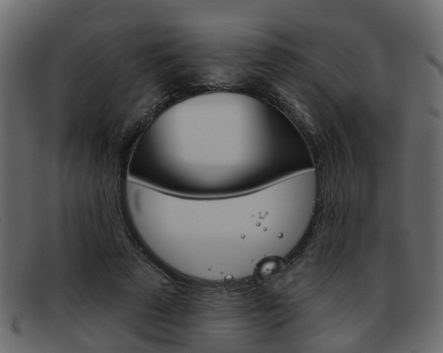 X0000093360689200710111309