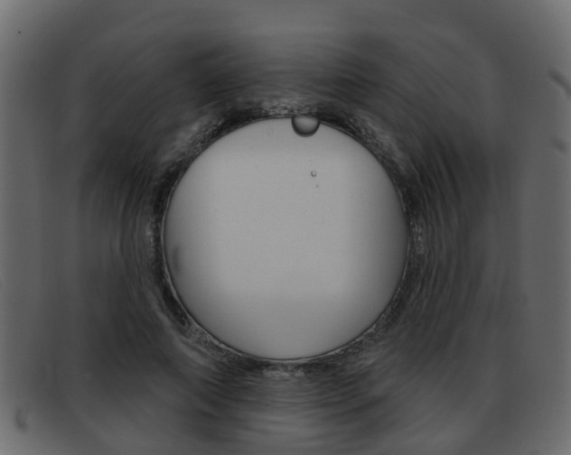 X0000093360690200710111309