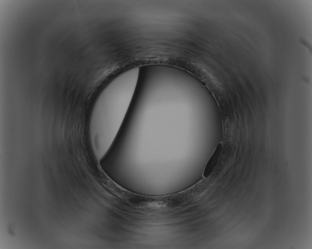 X0000093360692200710111309