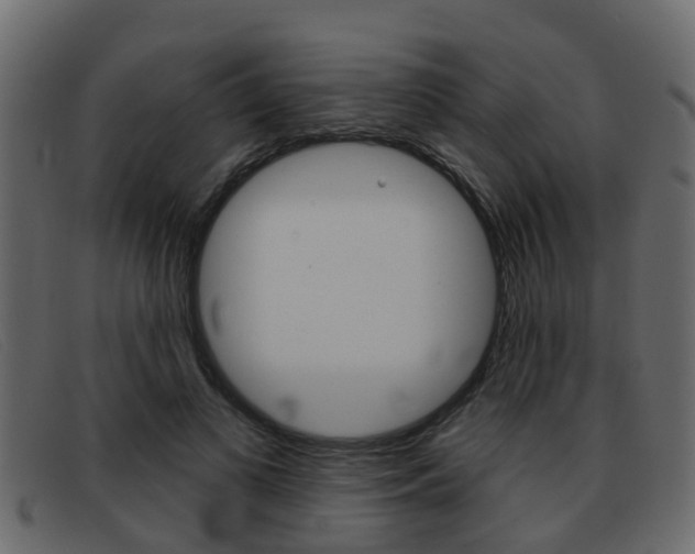 X0000093360693200710111309