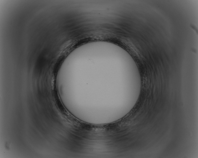 X0000093360694200710111309