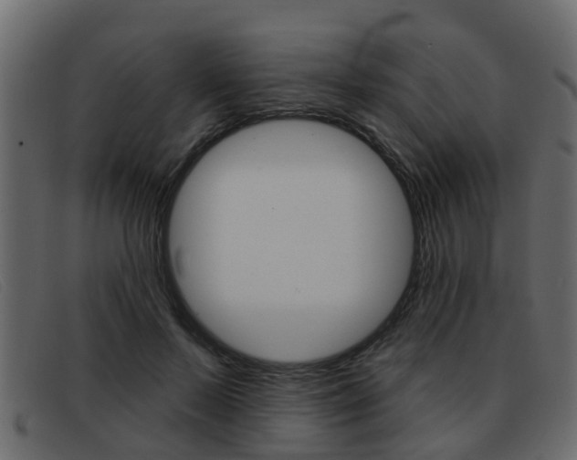X0000093360695200710111309