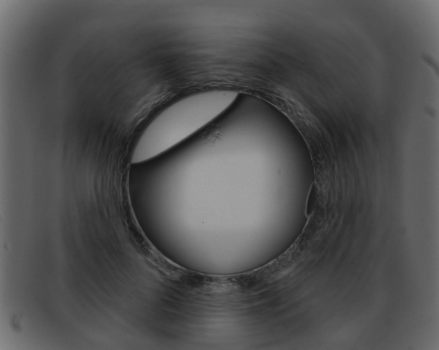 X0000093360696200710111309