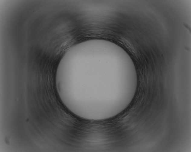 X0000093360697200710111309